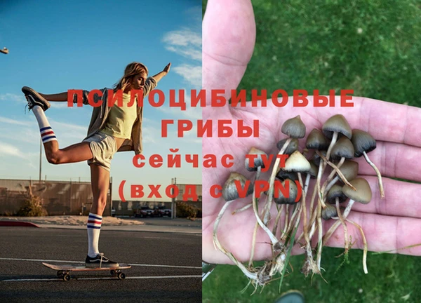 СК Надым