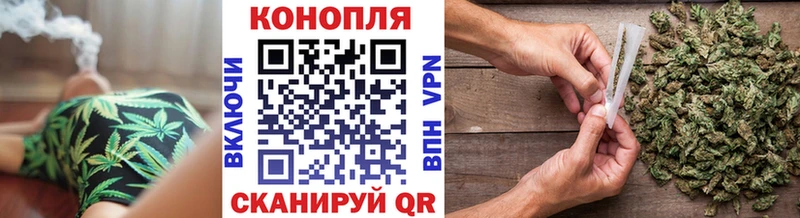 Купить где  Свободный  Бошки марихуана план 